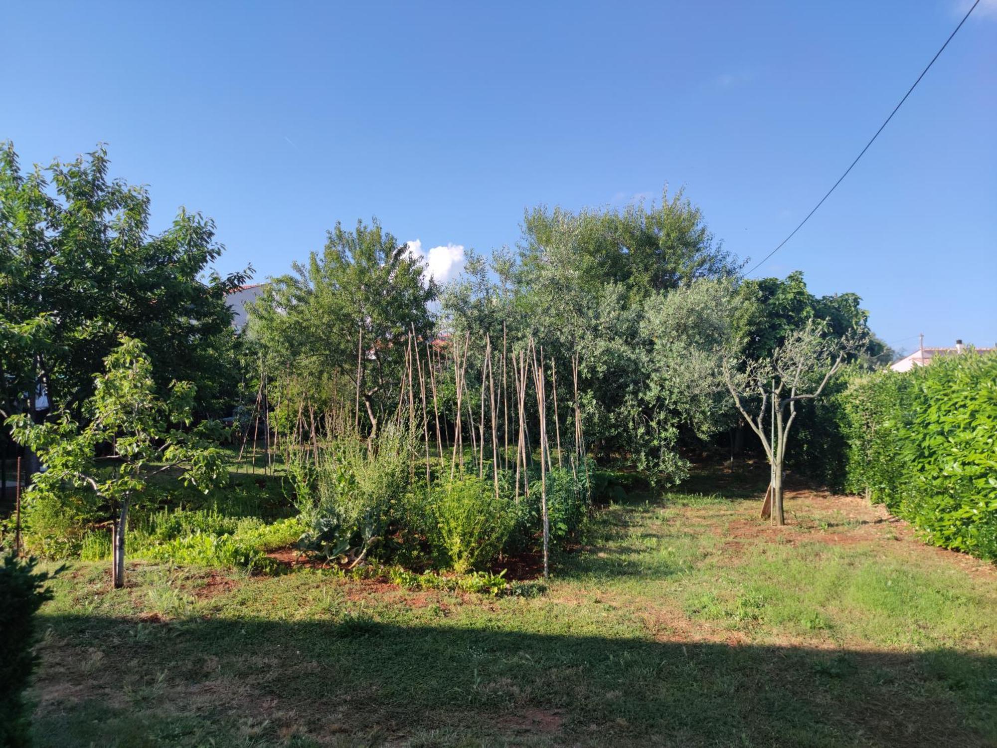 Spacious Apartment With Parking&Garden Marčana الغرفة الصورة